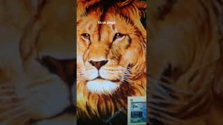 Juego Crusader kings 2