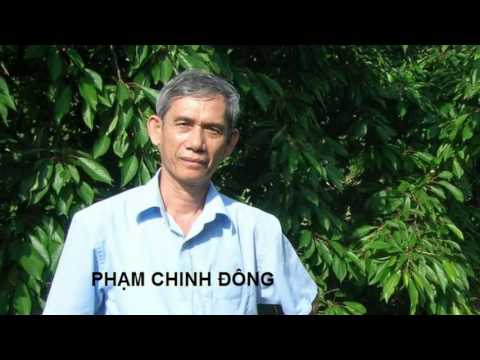 Thể hiện bởi Tâm Thư