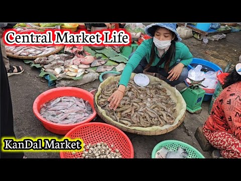 Central Market Tour | Authentic Street Market Life | Kandal Market |