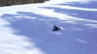 preview picture of video 'Major faceplant in Snow'