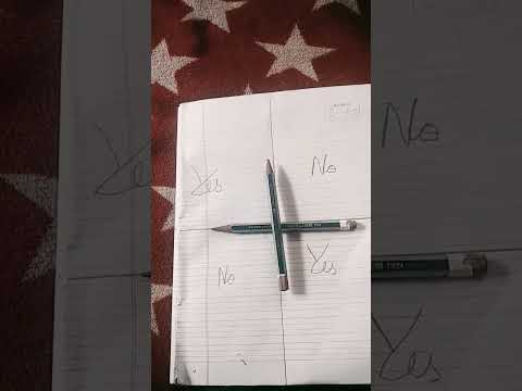 chali chali are you here