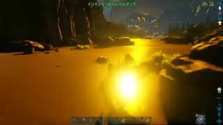 日常の適当な配信