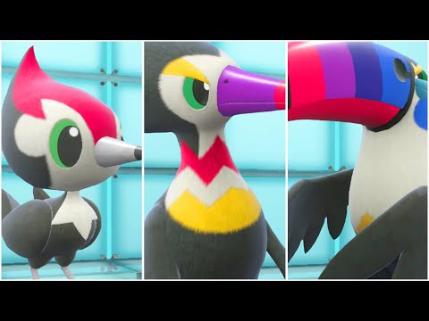 Click to play Video
