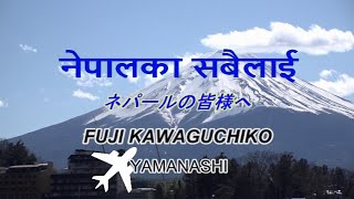 河口湖で働く外国人　PANDEYさん編　Go!Go!NBC!