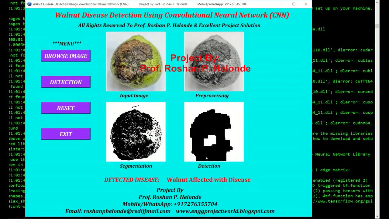 Python OpenCV Keras Project on Walnut Disease Detection Using CNN | with Source Code