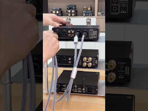 How to Wire XLR? (A20 + T20 + DAC Setup） #aiyima #bass #hifi