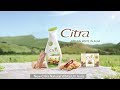 Citra Natural White UV Aura 15s Citra Myanmar