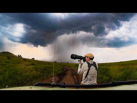 Meeting the Great Apes & Chimps of East Africa