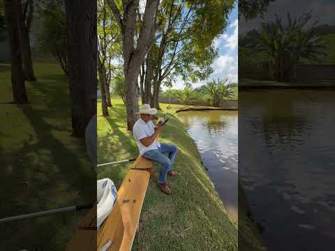 Vendo Chácara 24.000 m ² Nova Veneza-GO R$3.500.000,00 📲62984033151 César Oliveira #chacara #pesca