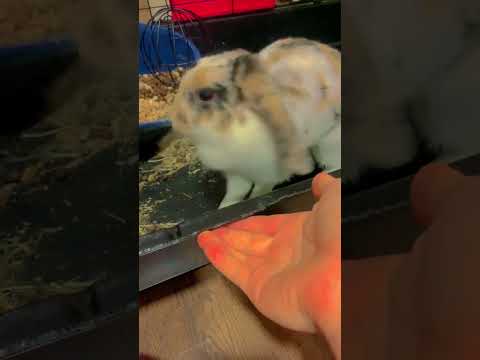 Trénuješ s krajském mega hezkej pocit když ti příde  na lusknutí 🫰😁