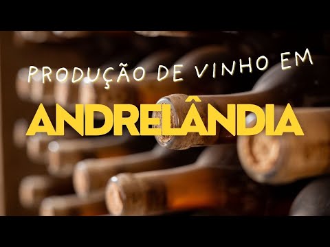 A produção de vinhos em Andrelândia, no Sul de Minas
