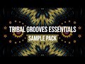 TRIBAL GROOVES ESSENTIALS V2 SAMPLES VOCALS COMBO CONGA LOOPS