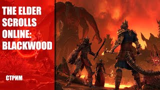 Стрим The Elder Scrolls Online: Blackwood — Первые впечатления от новой главы и локации «Черный лес»