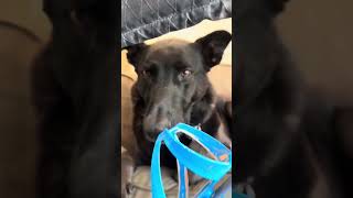 Superglue instead of tire plugs? Keeping bottles secure in cages? Two pro tips in one clip!