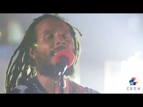 Ziggy Marley - Rebellion Rises | 2020 Live Stream
