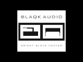 12. Blaqk Audio - Ill-Lit Ships 