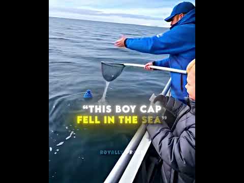 Kind Dolphin Helped Him ❤️‍🩹