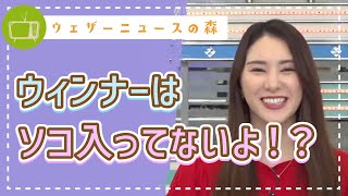 ウィンナーは入ってませんよ?喫茶店で頼みたいメニュー【白井ゆかり】【切り抜き】ウェザーニュースの森【ウェザ森】