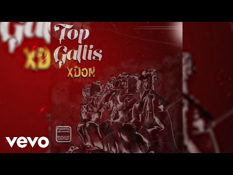 X Don - Top Gallis (Audio Visual)