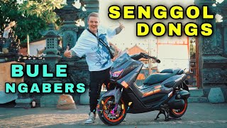 Download lagu REVIEW NMAX BULE KW PALING HEDON DI BALI ! SENGGOL DONG | JIK WAH CHANNEL mp3