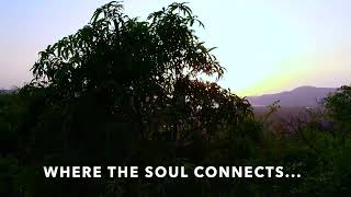  Agricultural Land for Sale in Mhasla, Raigad