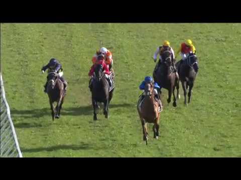 Randwick - Chelmsford Stakes - 03.09.2016 - Hartnell