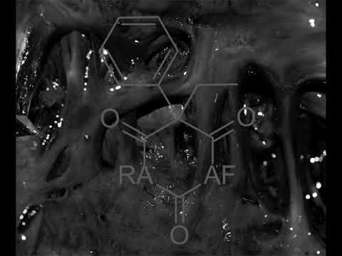 RITUAL AESTHETIC - THE ANALOG FLESH