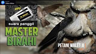Download lagu suara panggil MASTER BIRAHI by. DIAN WALET mp3