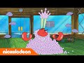 SpongeBob SquarePants | SpongeBobs schelpen | Nickelodeon Nederlands