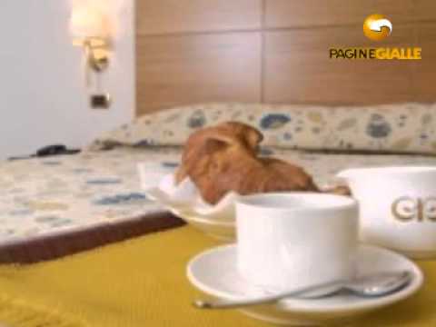 CITY HOTEL BUSINESS CASORIA (NAPOLI)