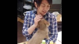 赤江珠緒 たまむすび 2018年01月09日