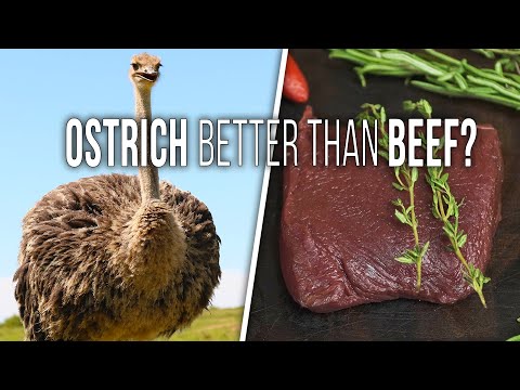 How to Cook OSTRICH STEAKS - Is Ostrich Better Than Beef?