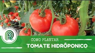 Miniatura do vídeo