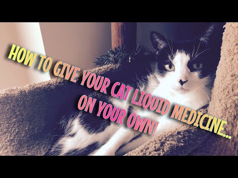 HOW TO GIVE YOUR CAT LIQUID MEDICINE...ON YOUR OWN!!!!