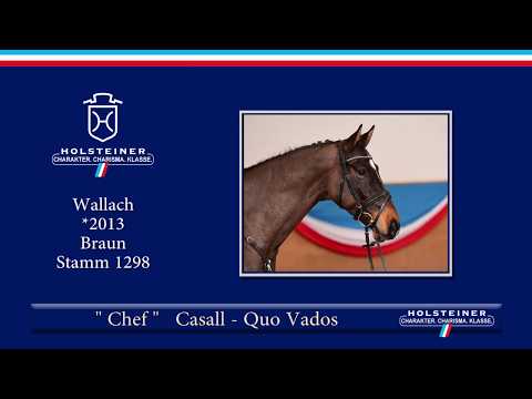 Holsteiner Frühjahrsauktion 2019 | Nr. 104 - Chef v. Casall - Quo Vados I