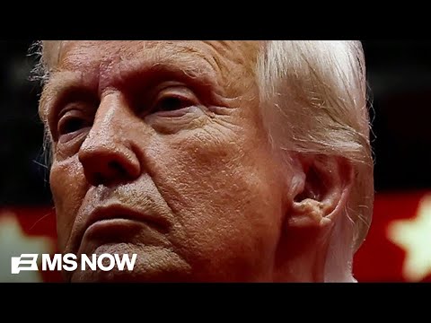 Nicolle Wallace: New polling is 'stinging rebuke' of Trump