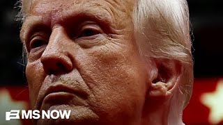 Nicolle Wallace: New polling is 'stinging rebuke' of Trump