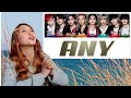 Stray Kids - "아니 (Any)" REACTION Stray Kids - "아니 (Any)" REACTION