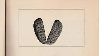 Robyn Hitchcock - &quot;Sayonara Judge&quot; (Official Video)