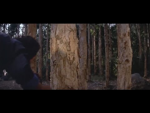 King Boxer 1972 - Thrown Head-First Through Tree