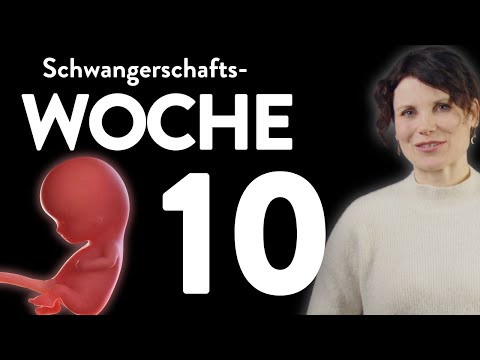 Pregnancy Guide | Week 10 | 10th Week |