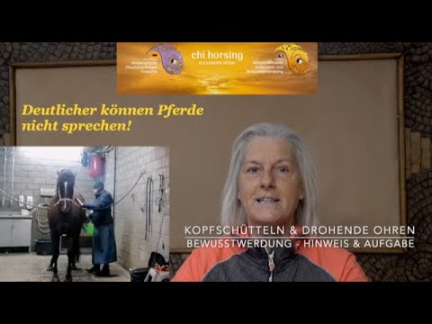 Kopfschütteln & permanentes Ohren anlegen des Pferdes - Ganzheitlicher & liebevoller Blickwinkel