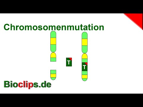 Chromosomenaberration