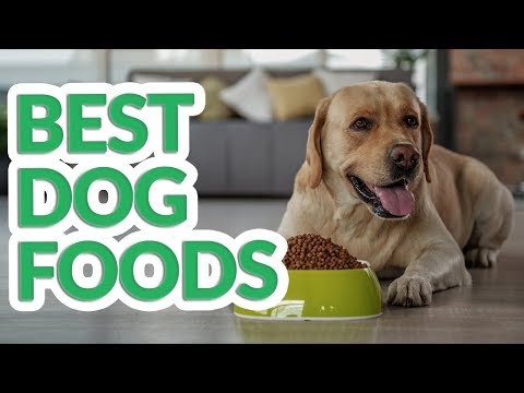 Best Dog Food 2019 - 10 TOP Dog Foods