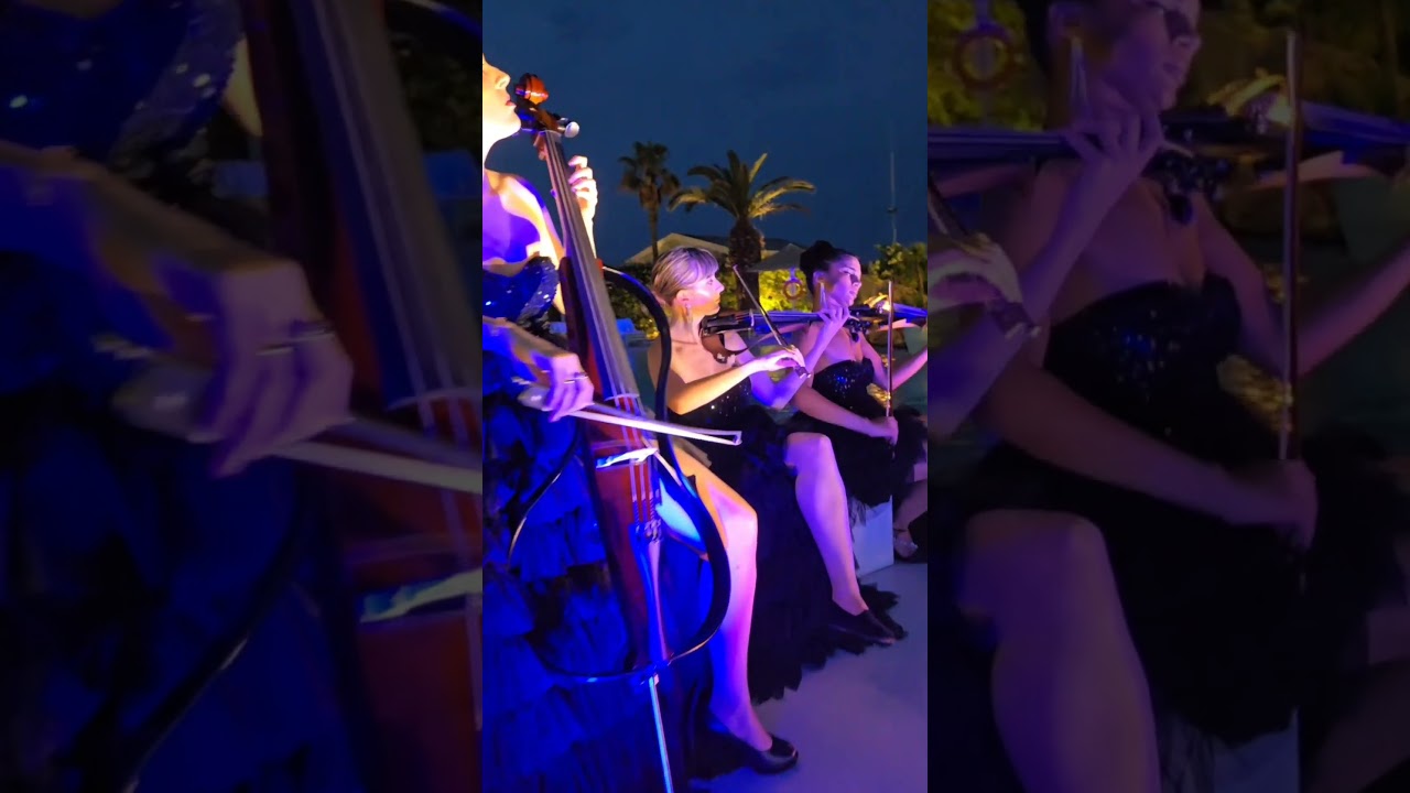 Elegant string quartet of four renowned artists: classical reimagined & pop.