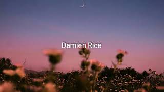 Damien Rice - I Don&#39;t Want To Change You Are (legendado)