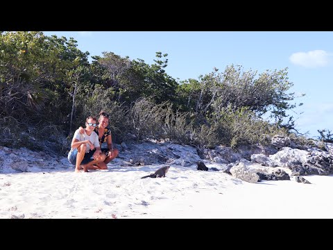Ep 041 - Bahamas, Wild Life - Sailing Sea Pearl