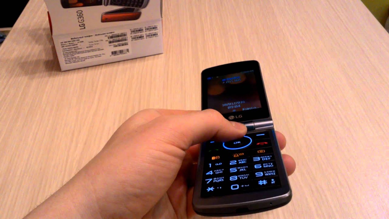 Мобильный телефон LG G360 Титан серый