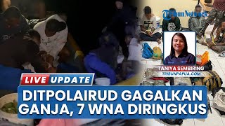 GAGAL SELUNDUPKAN GANJA! Ditpolairud Polda Papua Amankan 7 WNA Asal PNG