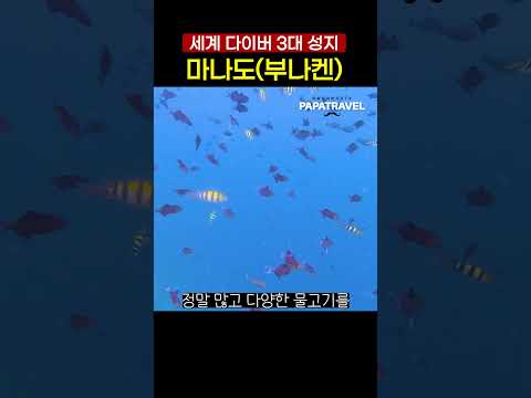 분악켄 해양 국립공원: 최상의 스노클링 경험을 위한 완벽 가이드